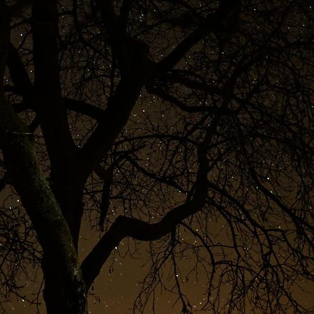 Natur Und Sterne Arleuf Exterior foto